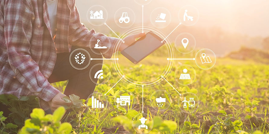 <font color=#ff0000>Kenya ranked top in use of tech to boost farming</font>