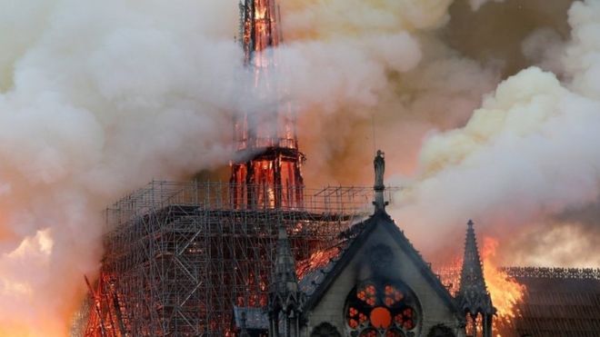 Notre-Dame: How an underwater forest in Ghana could help rebuild a Paris icon