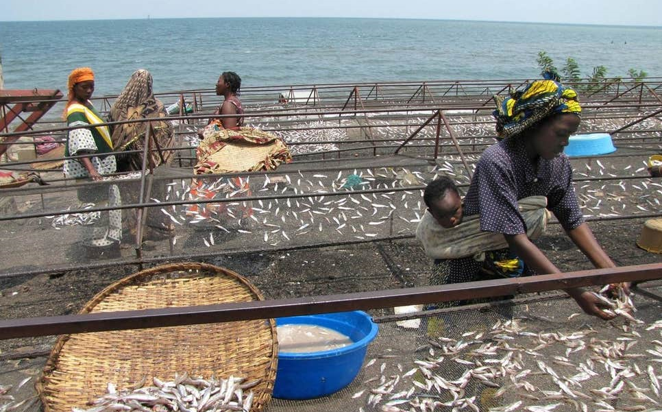The women making <font color=#ff0000>the</font>ir mark on Rwanda’s fishing industry