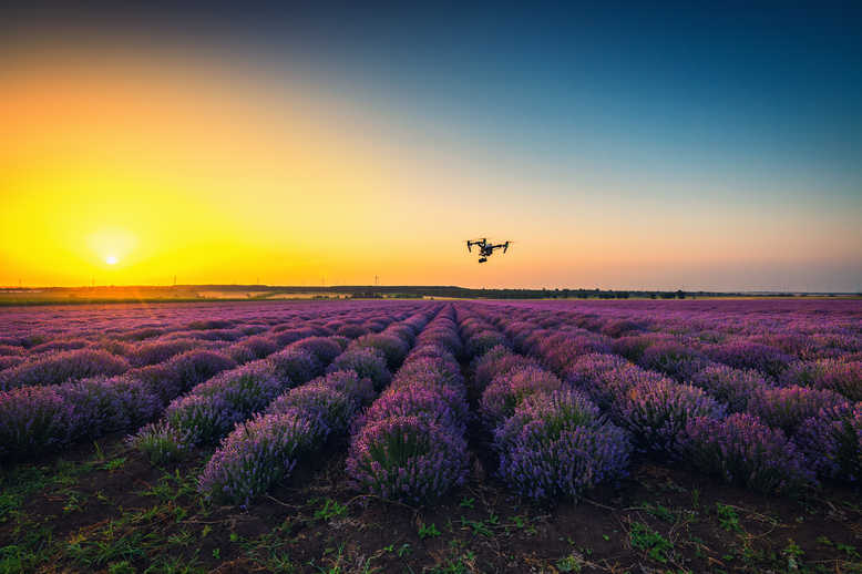 Technology and technique: at <font color=#ff0000>the</font> forefront of African agriculture