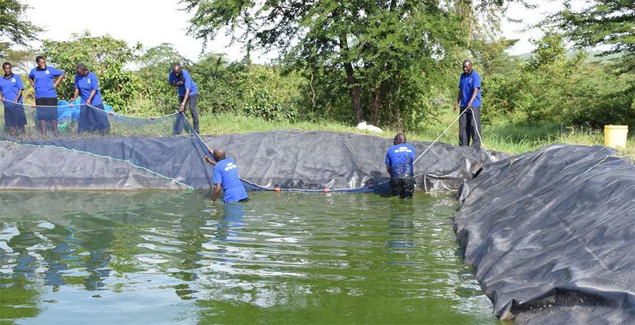 Fish-farming <font color=#ff0000>tech</font>niques on dry land net big profits for communities