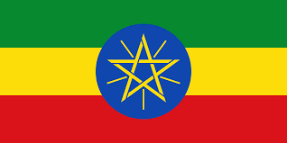 <font color=#ff0000>Ethiopia’s Digitization Drive Attracts Global Tech Giants</font>