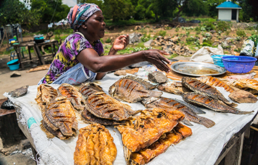 East Africa fish farming project supports food security, <font color=#ff0000>mitigates climate change</font>