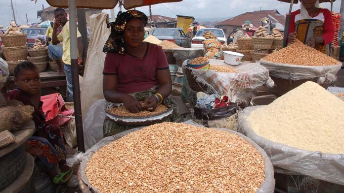 Nigeria, o<font color=#ff0000>the</font>rs to lead rice rebound in Africa - FAO