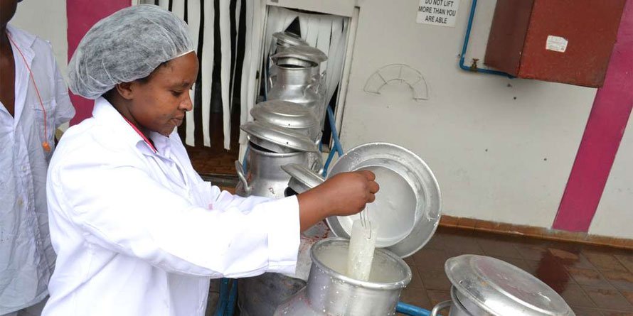 New board to market Kenya livestock products globally mooted