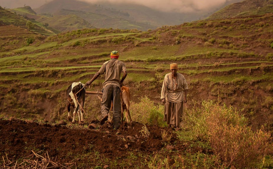 <font color=#ff0000>Ethiopia</font> is making maps to help improve soil health