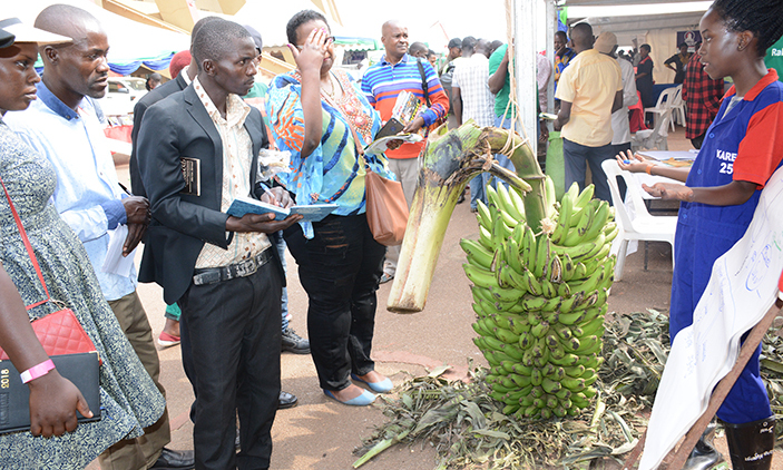 <font color=#ff0000>Harvest Money Expo returns in February</font>