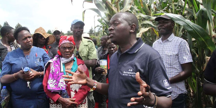 More farmers sign up to new dig<font color=#ff0000>it</font>al platform to grow yields