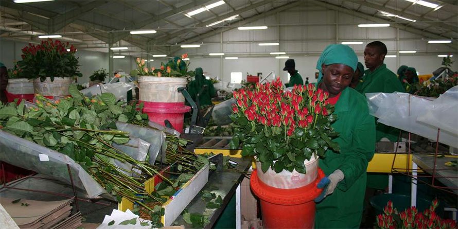 Fresh produce exporters hope for continu<font color=#ff0000>it</font>y in post-Brex<font color=#ff0000>it</font> era