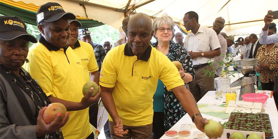 Kenya eyes <font color=#ff0000>tech</font> cocktail to secure lucrative mango export market