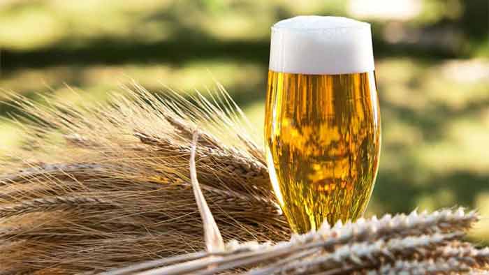 IFC invests US$55.9M in Habesha Breweries, boosting <font color=#ff0000>Ethiopia</font>’s barley industry
