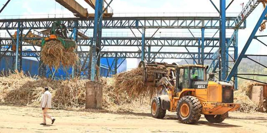 Transmara Sugar plans Sh4.7 billion electricity plant