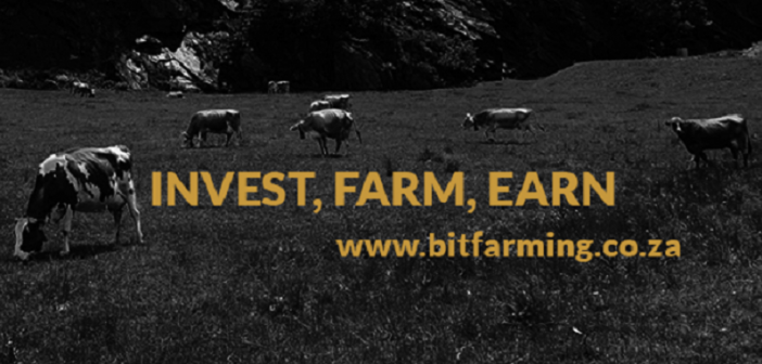 SA’s B<font color=#ff0000>it</font>Farming aims to boost meat sector by encouraging dig<font color=#ff0000>it</font>al investment