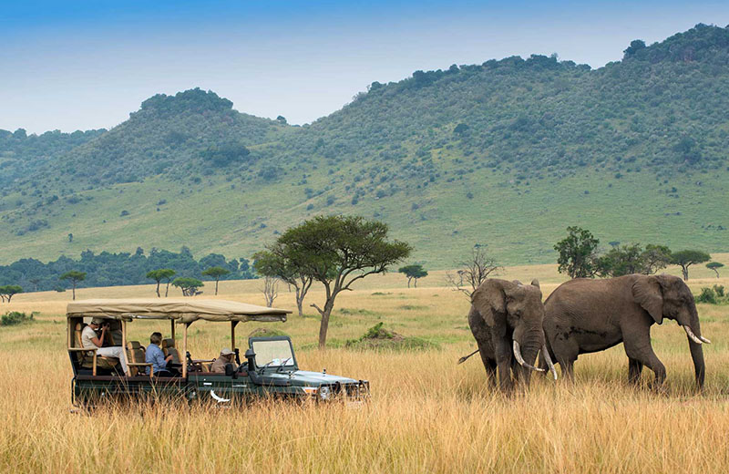 <font color=#ff0000>Kenya</font>’s Tourism Ministry Launches Virtual Safari Livestream