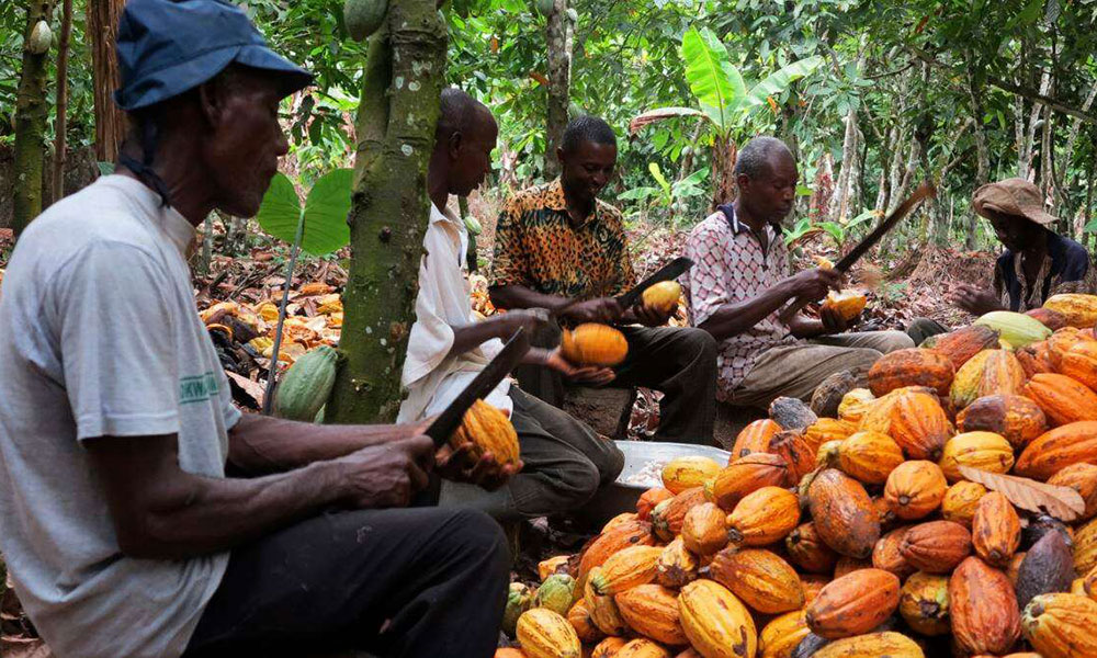 Ghana Cocoa Board, African Development Bank and financial partners celebrate first $200 million disb